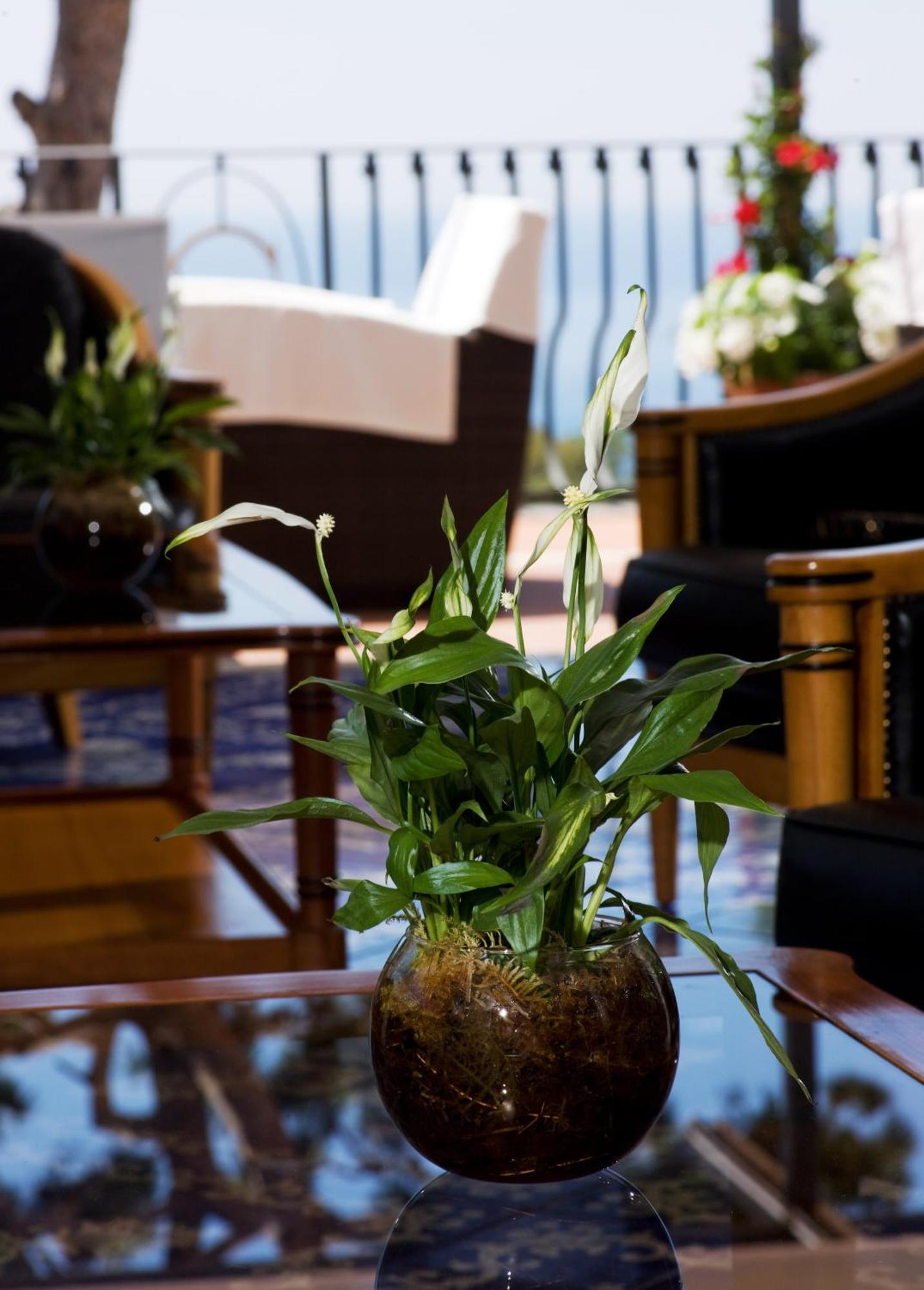 Hotel Casa Morgano Capri Zewnętrze zdjęcie